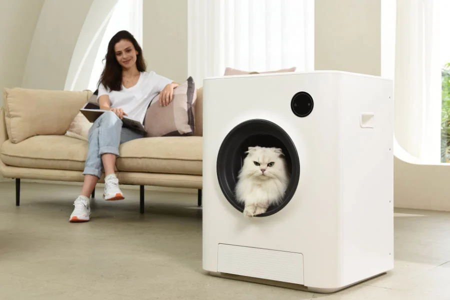 auto litter boxes for cats